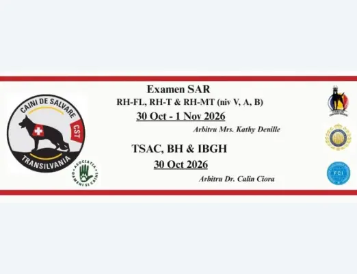 Examene SAR – RH FL (V, A, B), RH T (V, A, B) si RH MT (V, A, B), BH  T.S.A.C.-  Orastie