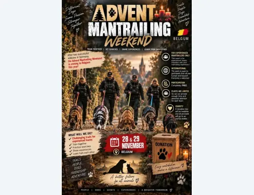 Advent Mantrailing Weekend - 28 - 29 November 2026 - Belgium