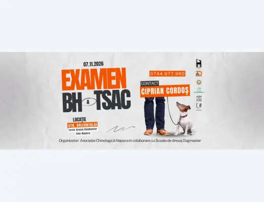 BH and TSAC Exam in Cluj-Napoca, 7 November 2026