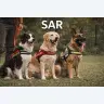 Examen SAR