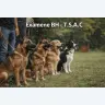 Examene BH  T.S.A.C.