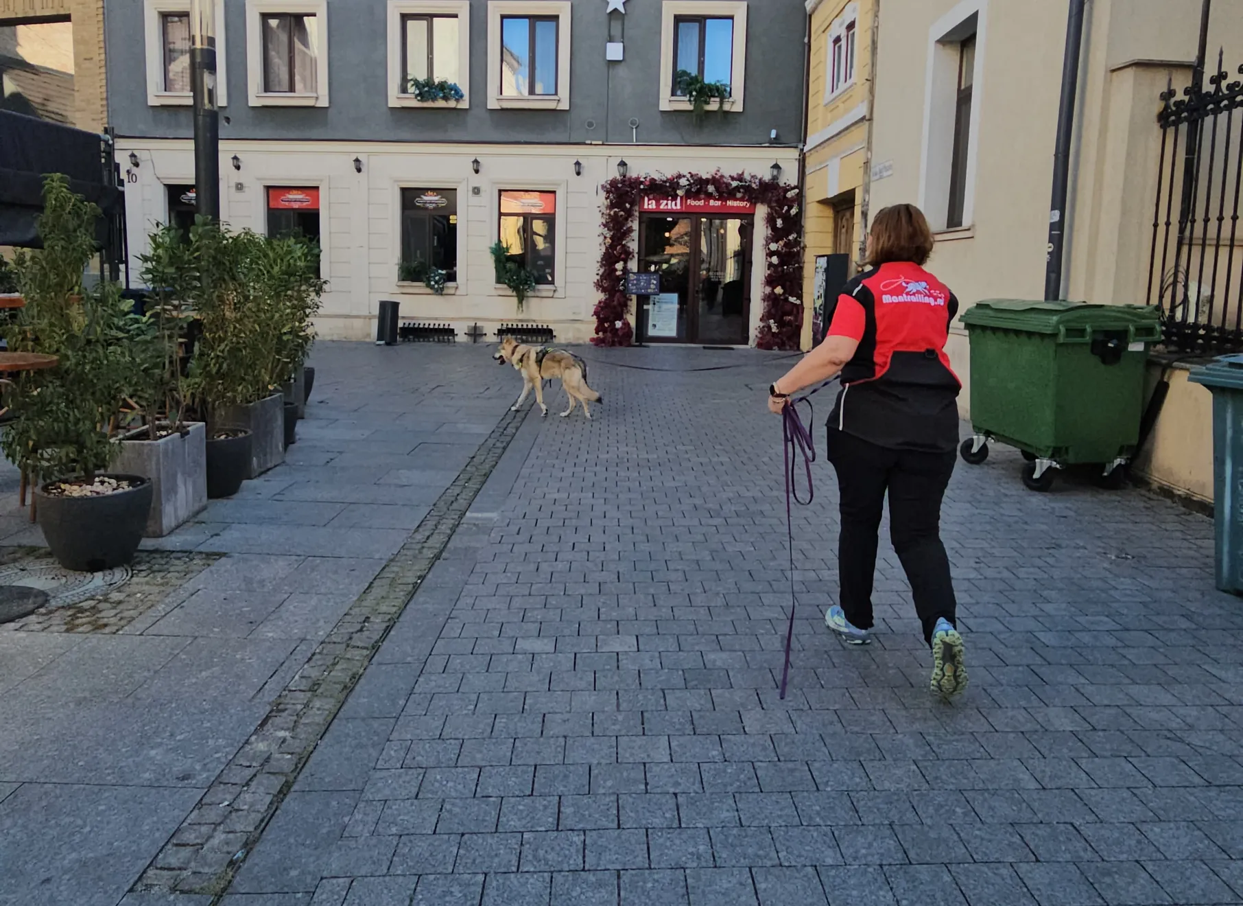 Mantrailing Romania - training and teamwork between humans and dogs