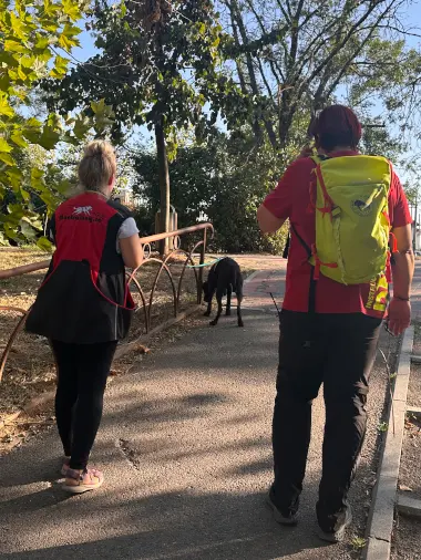 Antrenament mantrailing și obediență canină în România