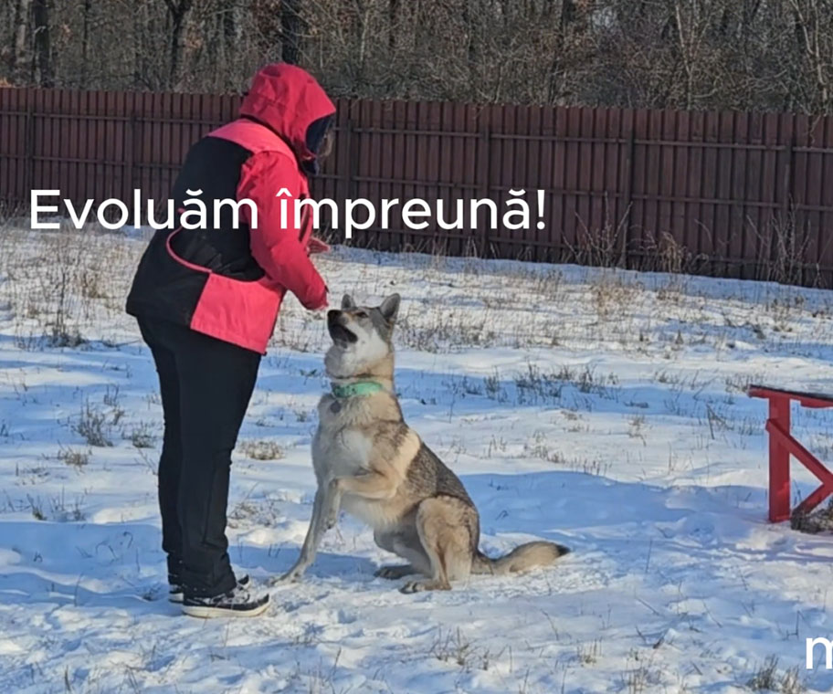 antrenament