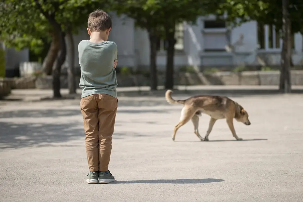 Băiat care stă nemișcat, cu brațele strânse la piept, în timp ce un câine se apropie de el în parc