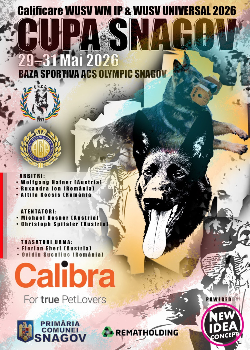 Examene FCI-IGP (FCI-IGP/BH/IGBH)  T.S.A.C.