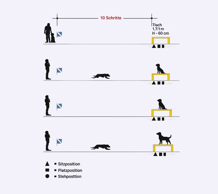 Proba de obediență și dexteritate