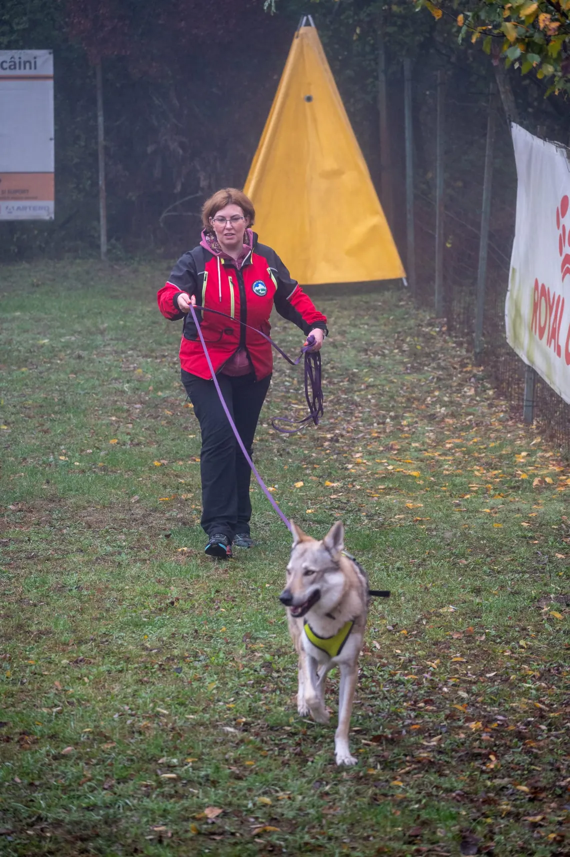 Ruxandra Cănăvoiu, instructor de mantrailing, cu lesa lungă în mână, în urma câinelui pe o pistă