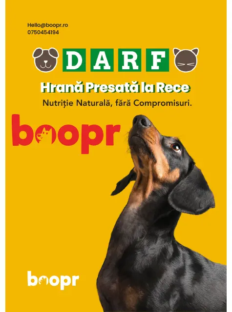 Boopr - Mancare, accesorii si suplimente