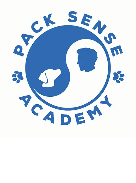 PackSense Academy