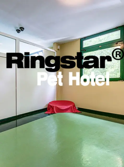 RingStar Pet Hotel