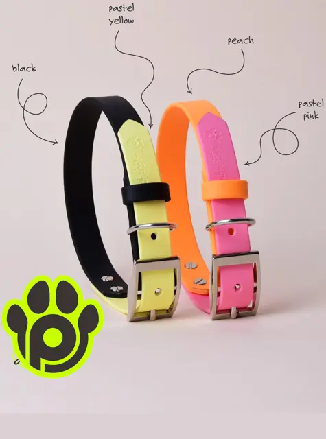 Us&Pups - accesorii handmade pentru catei