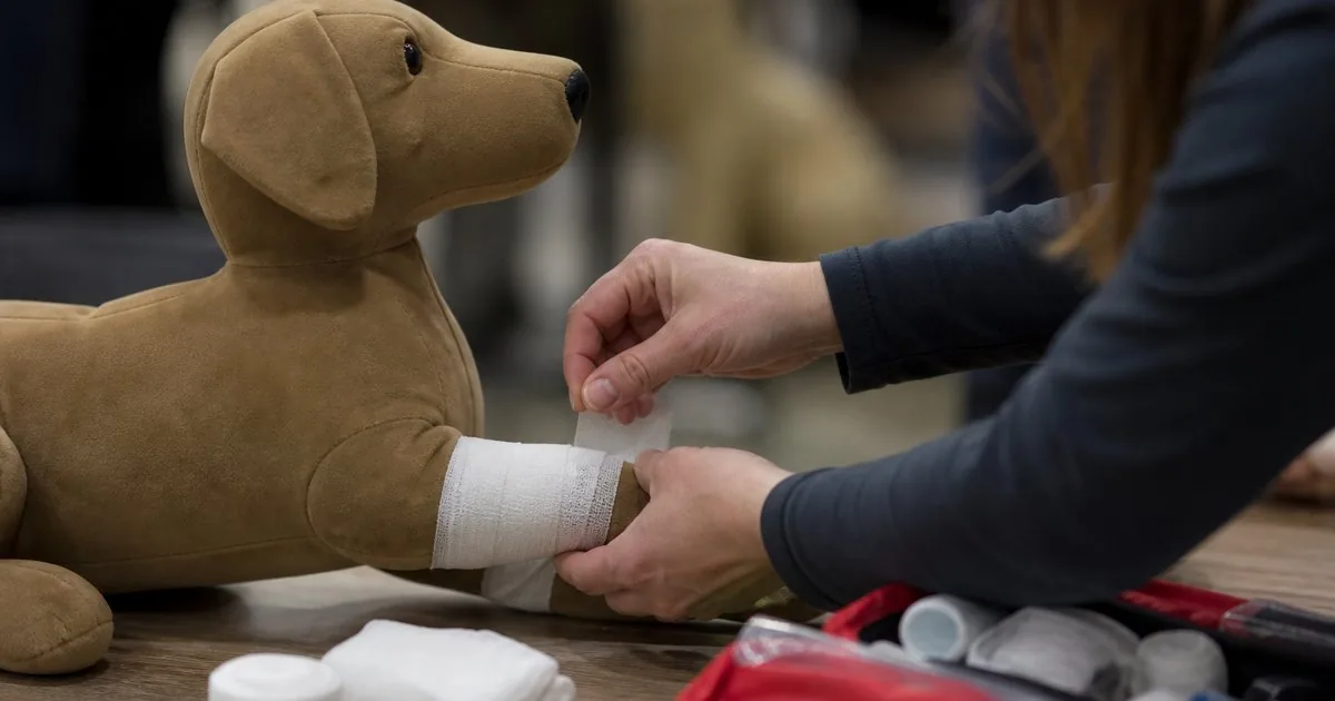 Canine first aid workshops