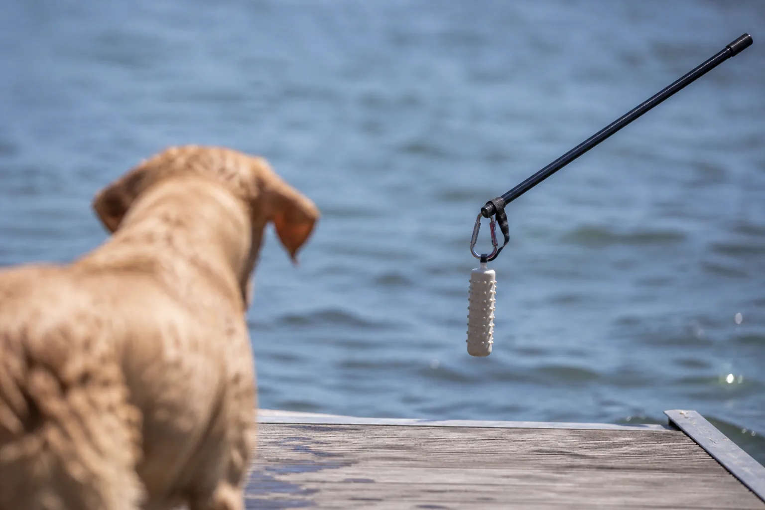 Bumper clipped to an extending pole above the water as a Labrador watches from the dock